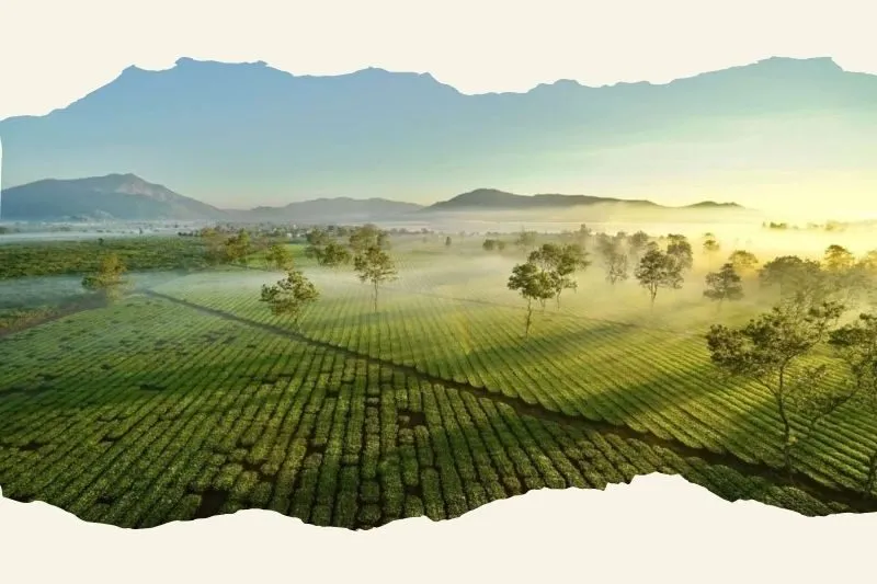 biển hồ chè