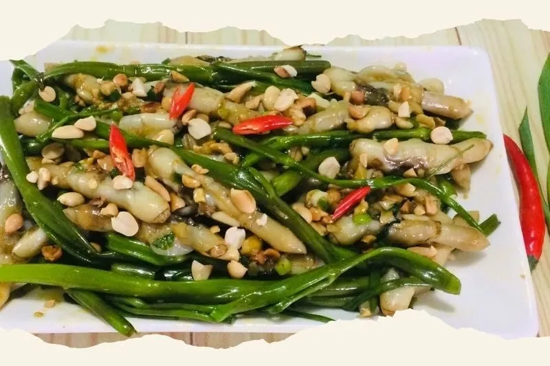 Ốc Bi