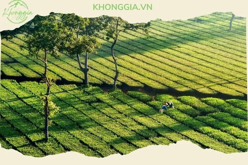 cac-dia-diem-tham-quan-gan-bien-ho-che-khong-the-bo-qua