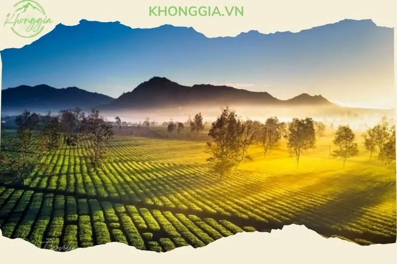 tong-quan-ve-bien-ho-che